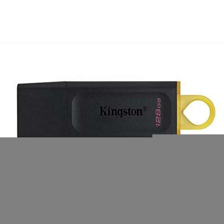 Memoria USB Kingston DTX/128GB