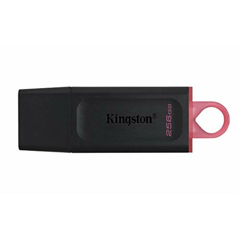 Memoria USB Kingston DTX/256GB            256 GB Negro