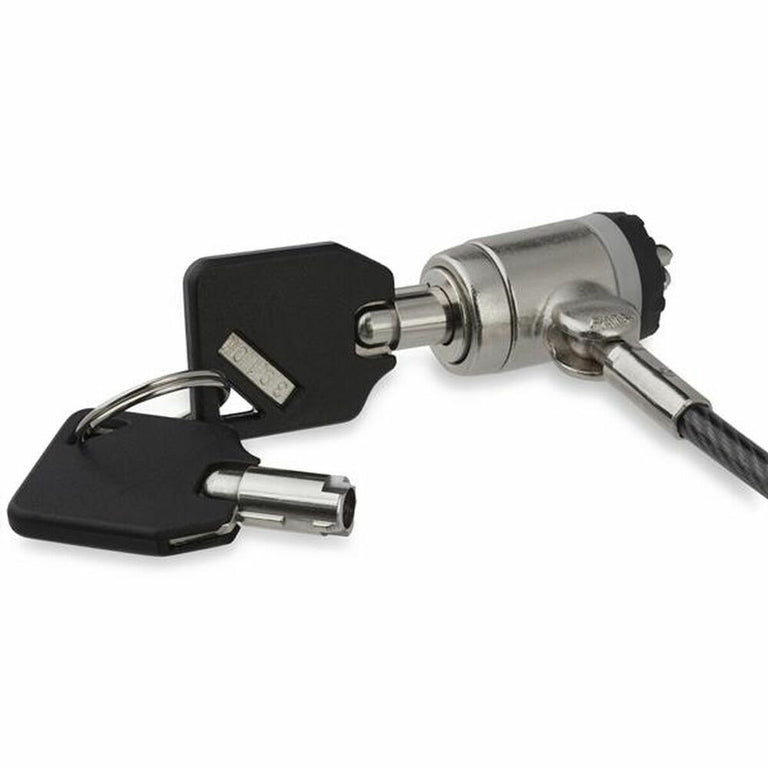 Cable de Seguridad Startech LTLOCKKEY            (2 m)