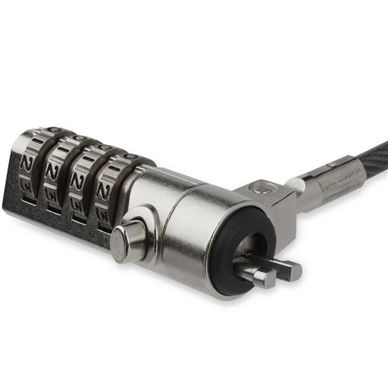 Cable de Seguridad Startech LTLOCK4D             (2 m)