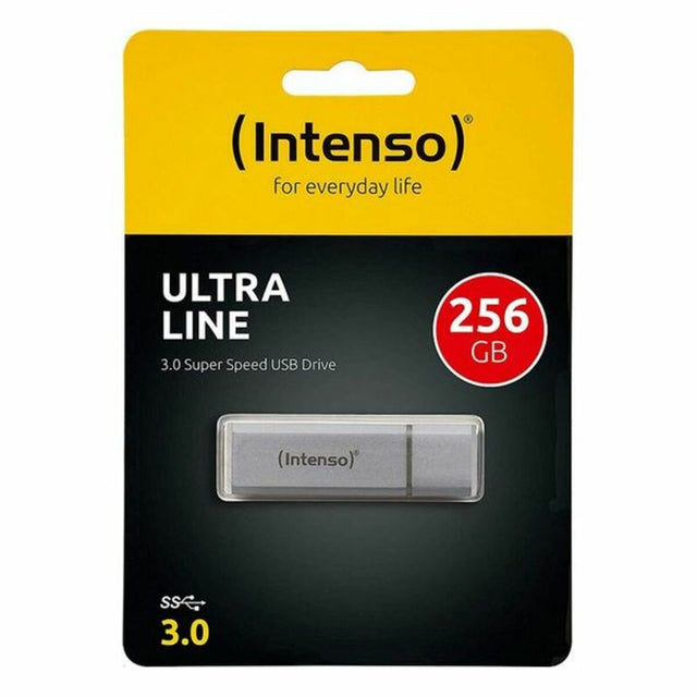 <transcy>Clé USB INTENSE 3531492 USB 3.0 256 Go Argent</transcy>