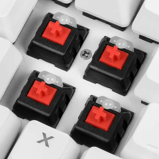 Sharkoon SGK3 Weiße RGB-LED-Tastatur