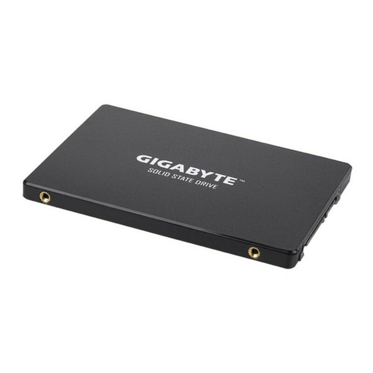 Disco Duro Gigabyte GP-GSTFS31256GTND 256 GB SSD