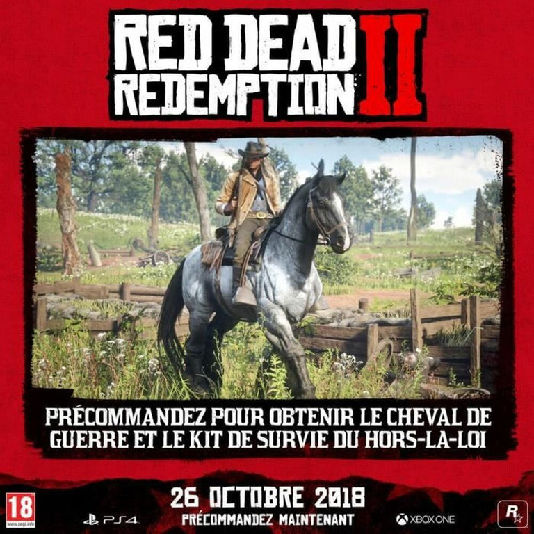 Videospiel PlayStation 4 Sony Red Dead Redemption 2