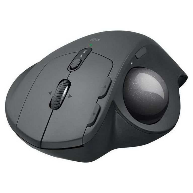 Logitech-Maus 2724589416875