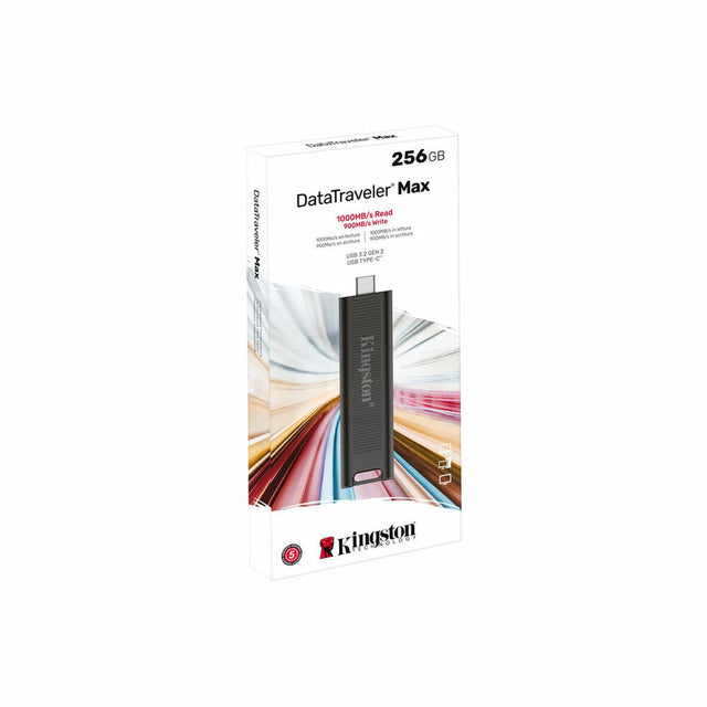 Memoria USB Kingston DTMAX 256 GB