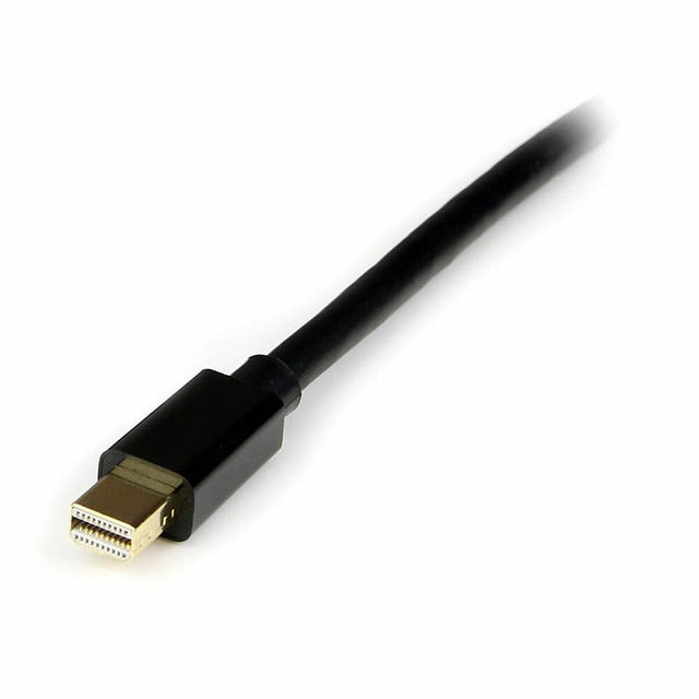 Kabel DisplayPort Mini auf DisplayPort Startech MDP2DPMM4M Schwarz 4 m