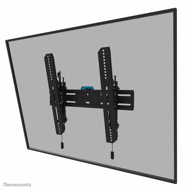 Neomounts WL35S-850BL14 32-65" TV-Ständer