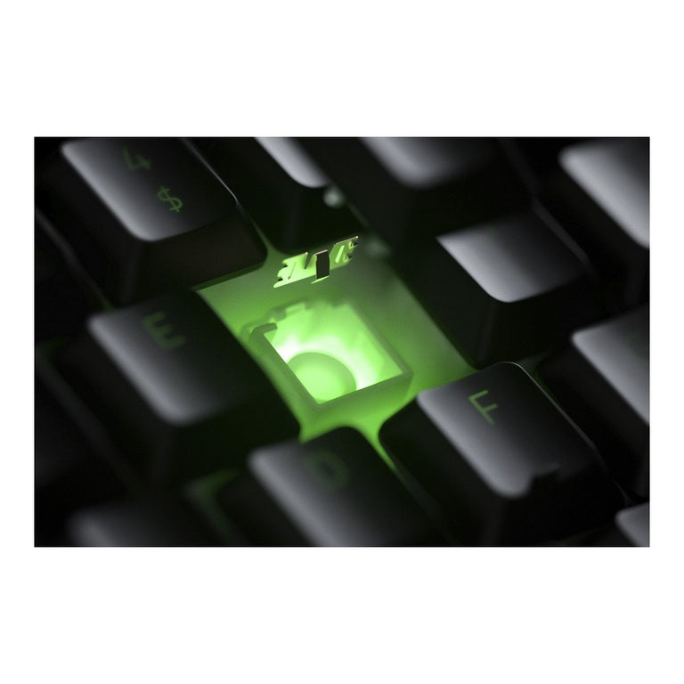 Teclado Gaming Razer Cynosa V2 AZERTY