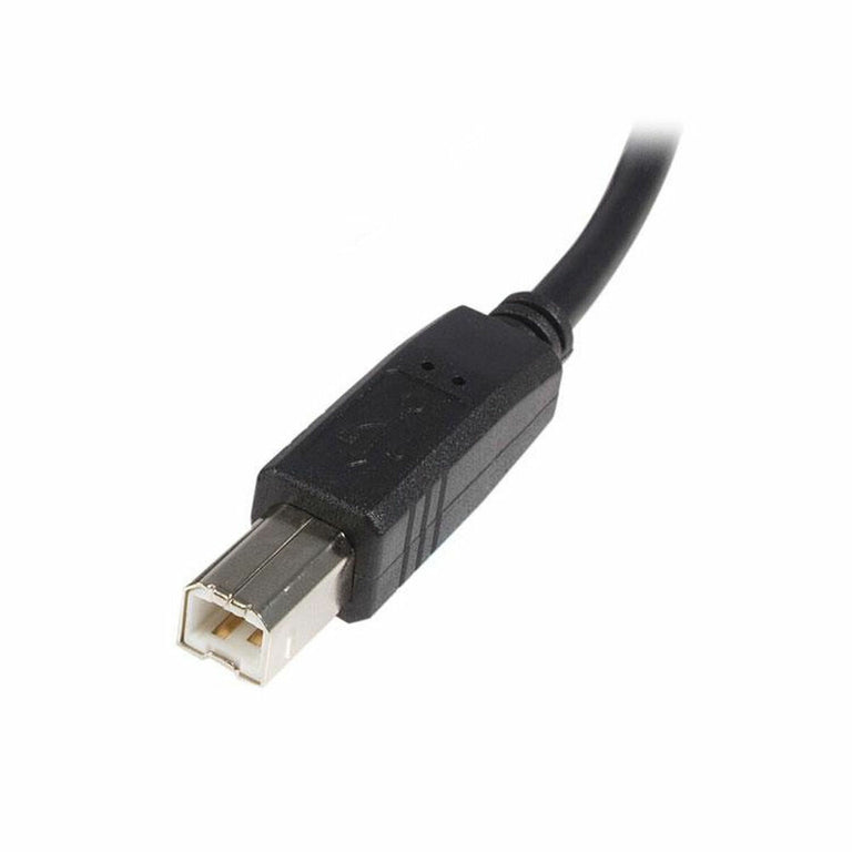 Cable USB A a USB B Startech USB2HAB2M            Negro